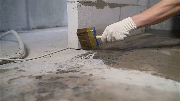24/7 Emergency Wet Basement Repair experts in Coal City, IL